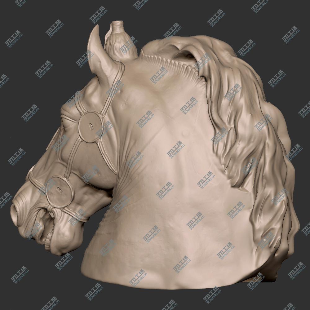 images/goods_img/20210225/Horse Head/4.jpg
